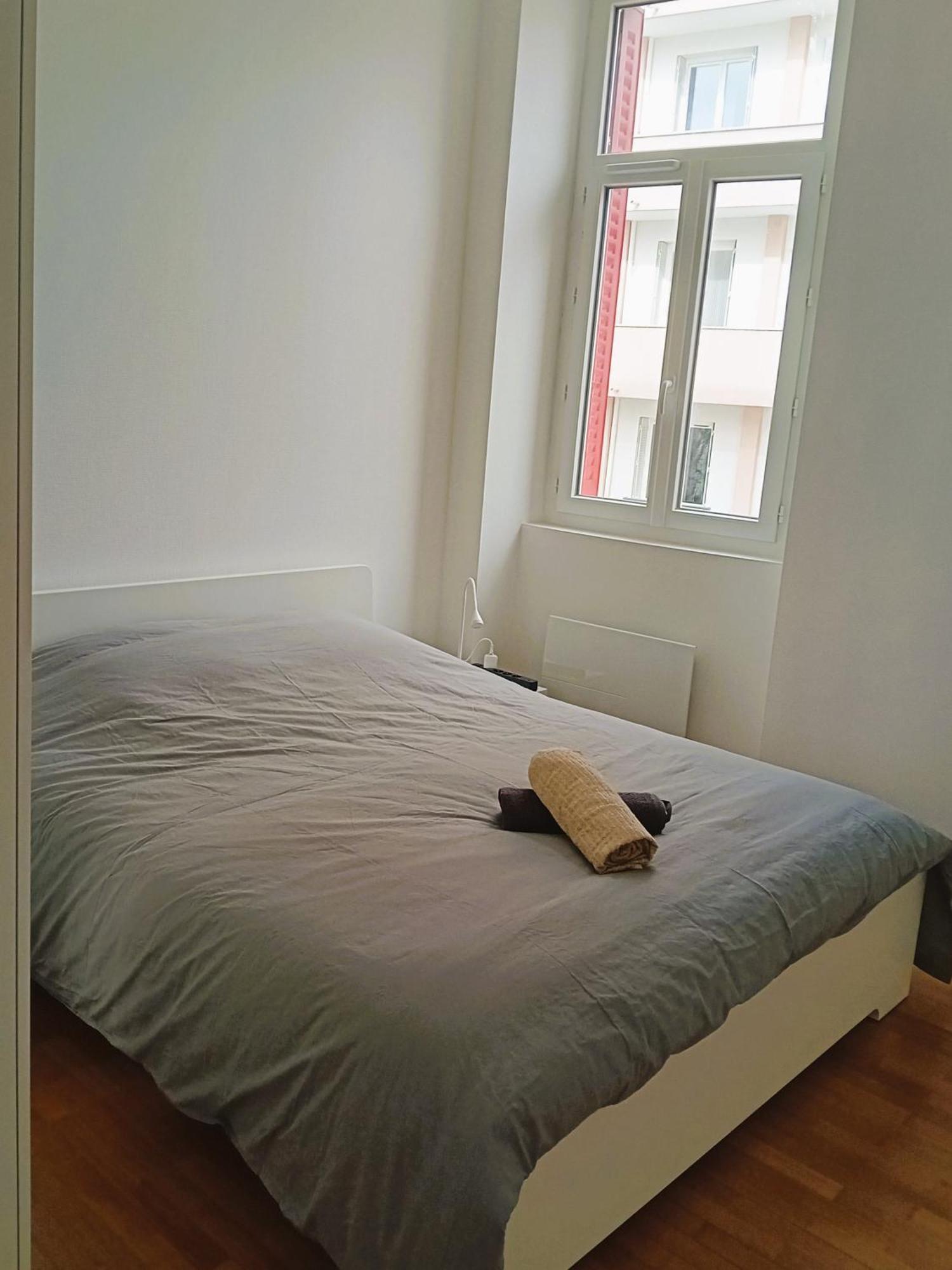 102 - Appart Renove Avec Grand Salon Et 1 Chambre - Tram Et Clinique Mutualiste A 1 Min Grenoble Buitenkant foto